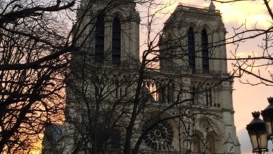 Notre Dame incendio querce ricostruzione