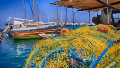 Pesca Italia pescatori lavoro