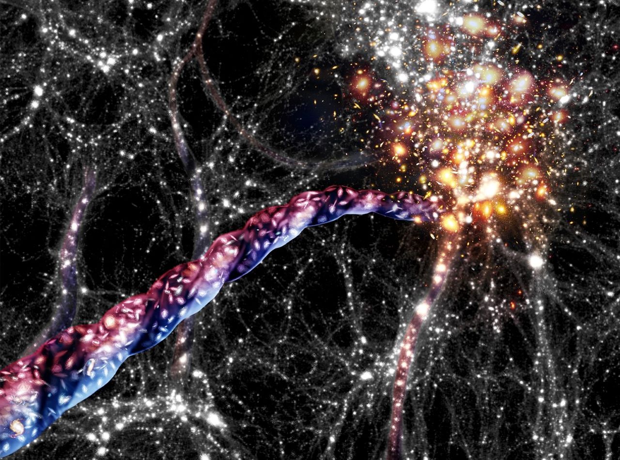 Galassie filamenti rotazione Universo