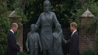 William Harry statua Lady Diana