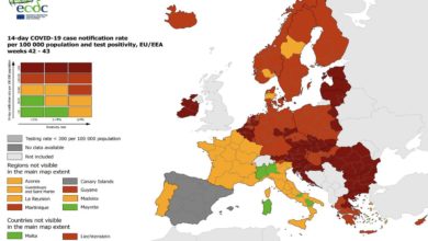 Covid Mappa Europa Ecdc Oms