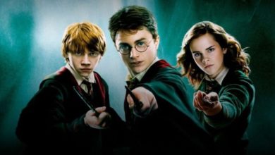 Harry Potter 20 anni