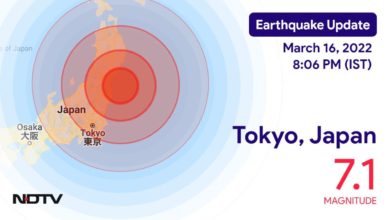 Terremoto Tsunami Giappone