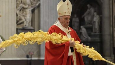 Papa Francesco omelia Domenica Palme