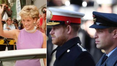 Lady Diana William ed Harry separati