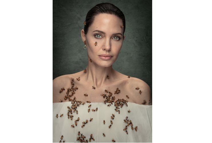 Angelina Jolie Dan Winters