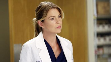 Meredith Grey's Anatomy