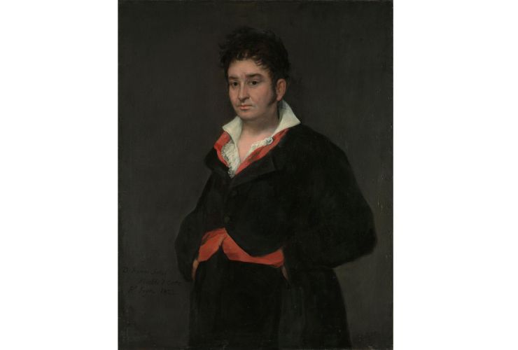 dipinto Goya
