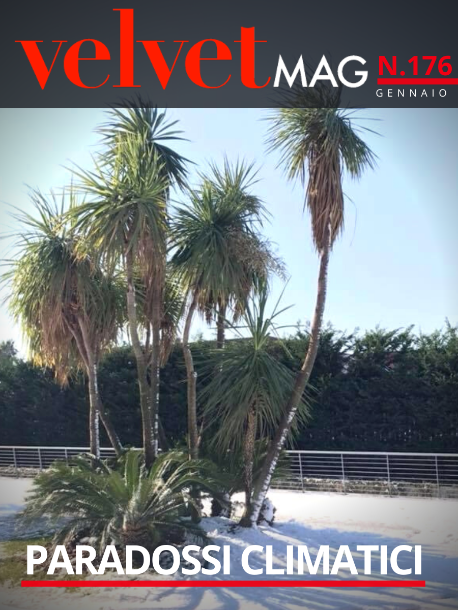 Copertina gennaio 2023 VelvetMG n.176 Cambiamento climatico: palme sotto la neve foto di Antonio Martello