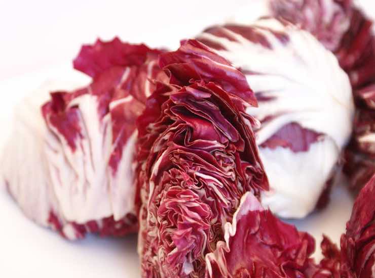 Radicchio fresco