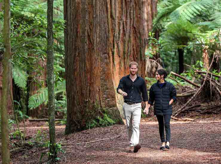 Meghan Markle e Harry