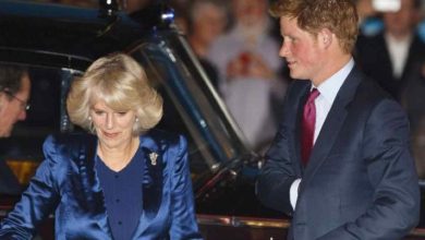Principe Harry accuse Camilla