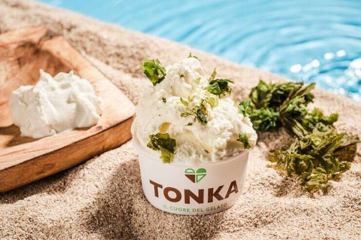 Gelato Tonka