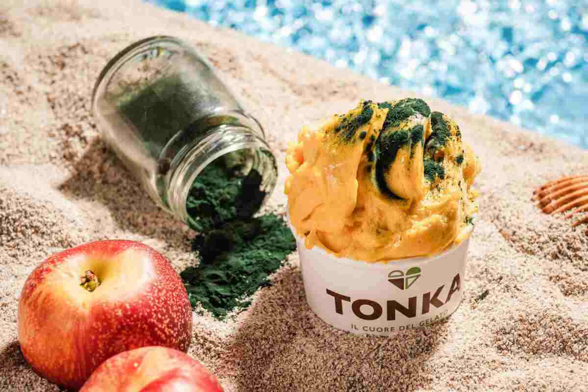 Sea Tonka gelato