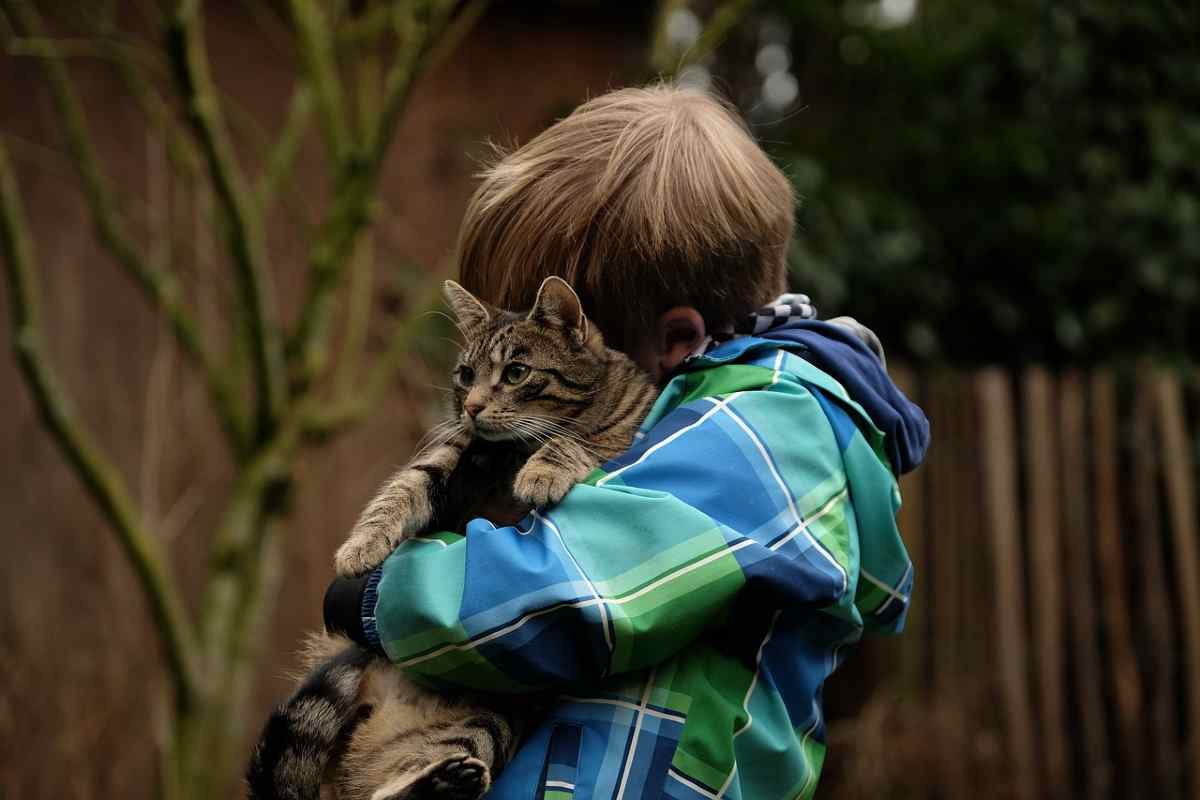 Gatti e bambini