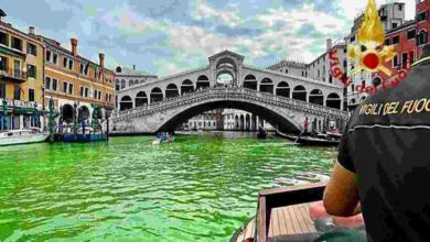 venezia canal grande chiazza verde