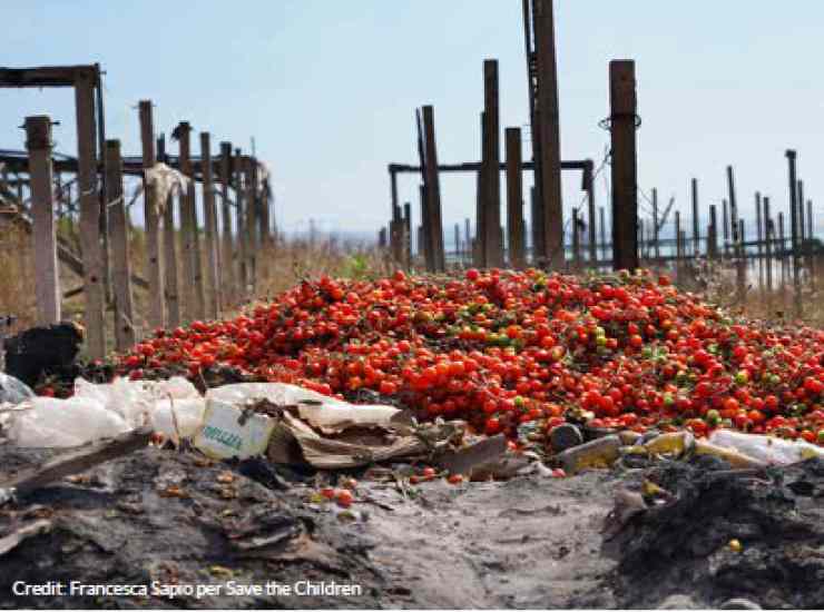 schiavi bambini ragazzi agricoltura italia