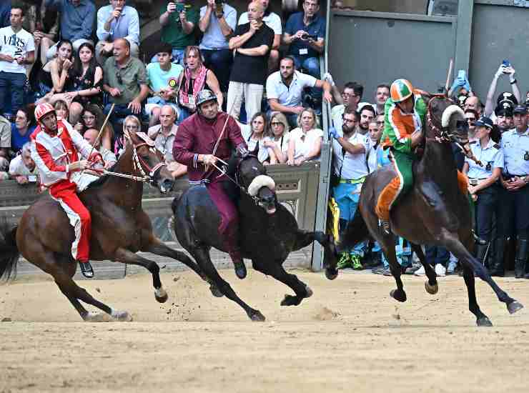 palio siena tittia gingillo corsa