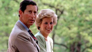 Lady Diana divorzio da Carlo