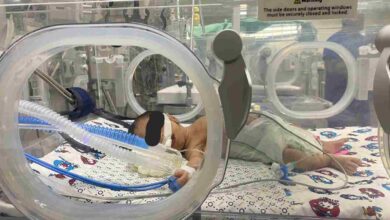 ospedale shifa gaza neonati