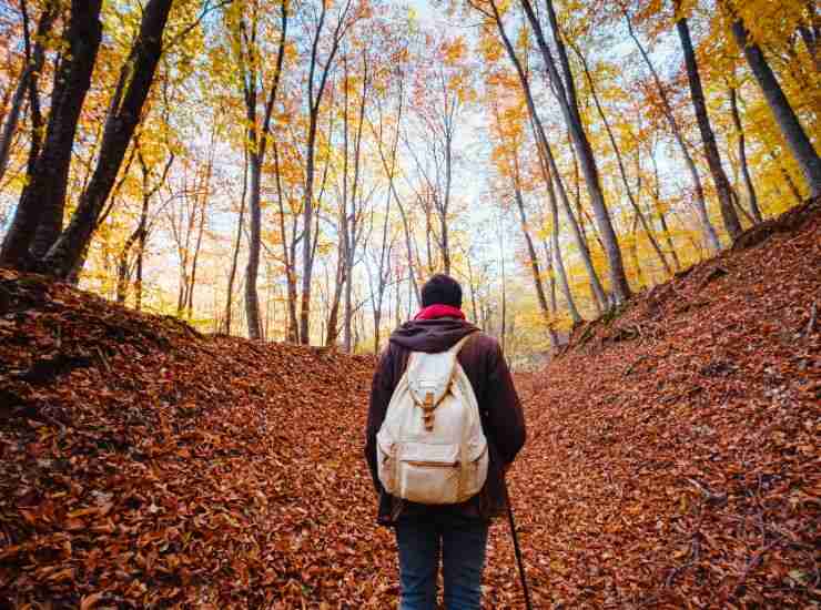 Silent Walking trend