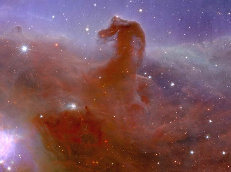 nebulosa cavallo euclid 