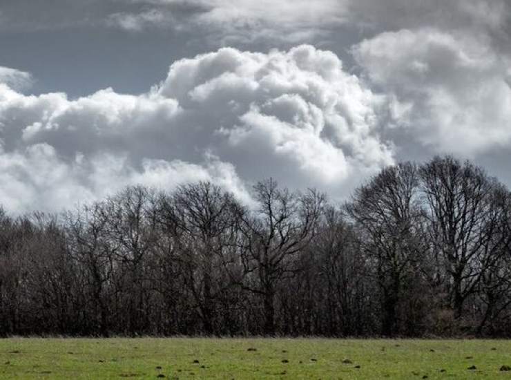 meteo italia previsioni gennaio 2024