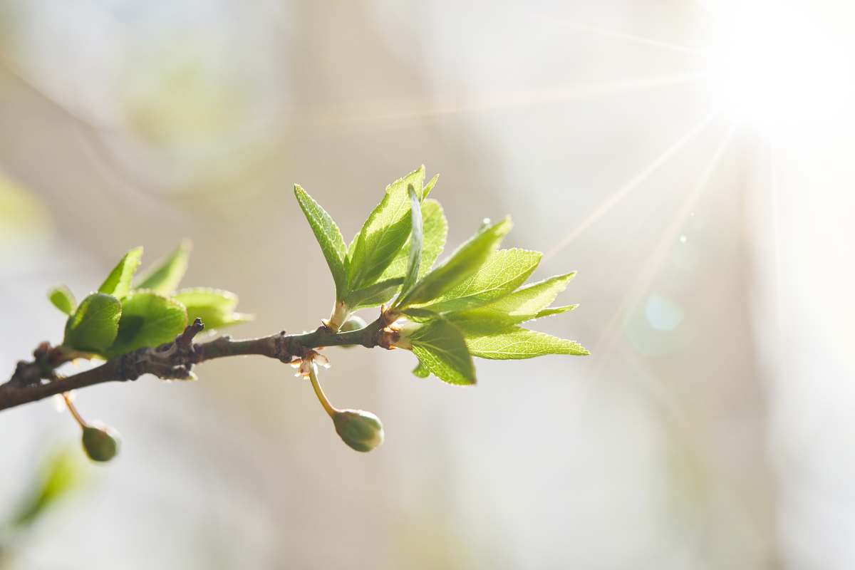 Equinozio di Primavera