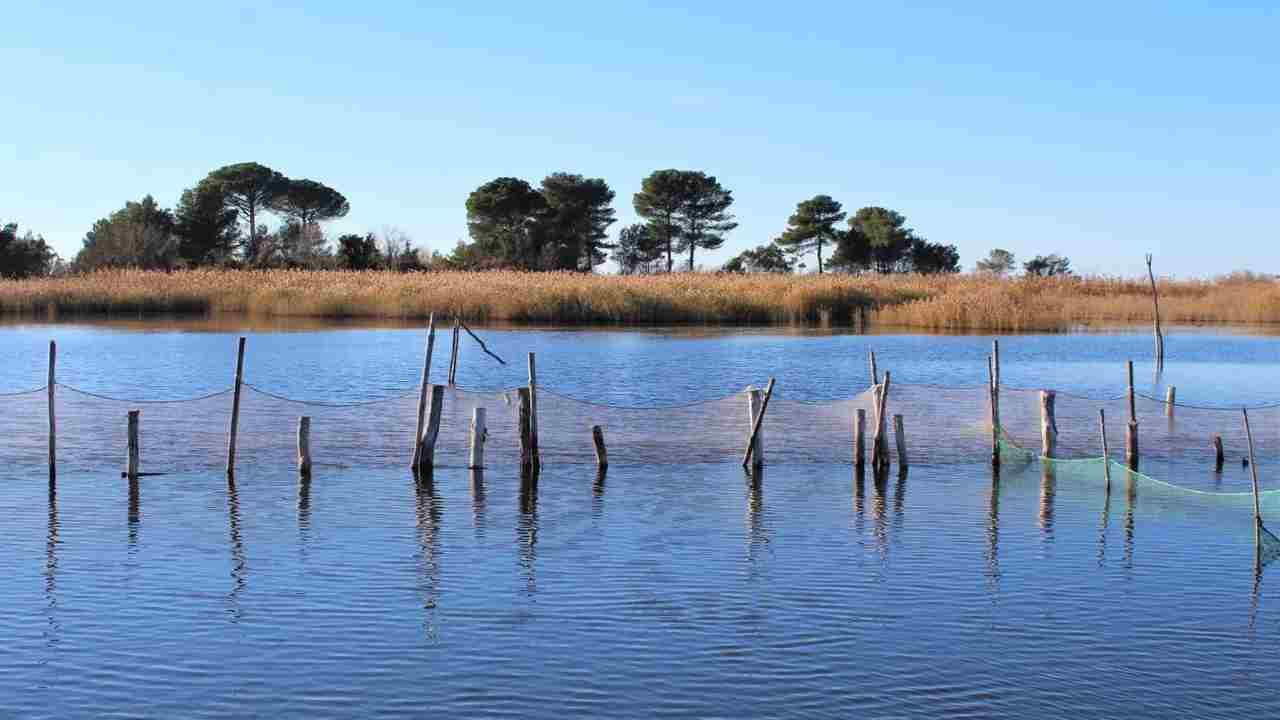 Laguna Vain Albania Mare Adriatico