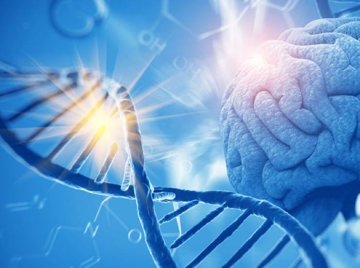 Malattia Alzheimer scoperta genetica Spagna 