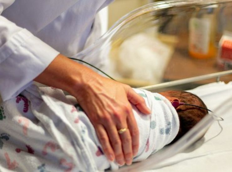 Pertosse casi Italia Europa