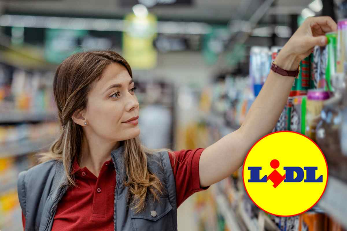 lidl offerta parkisde